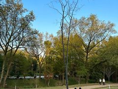 -杭州植物园