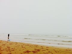 -日照海滨国家森林公园