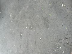 -清真·安乐园菜馆(茶南店)