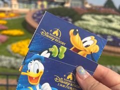 -上海迪士尼度假区