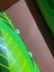 -卡通尼·Safari非洲探索乐园·生日会(金桥国际商业广场店)