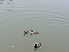 -前关湿地公园