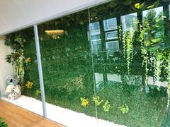 -了不起的考拉咖啡店(高新店)