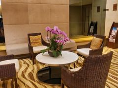 -北京朝阳悠唐皇冠假日酒店