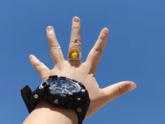 -西宁市人民公园(城西区)