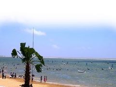 -碧海金沙