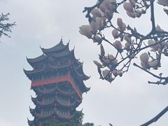 -塔子山公园