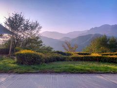 -青峰峡国家森林公园