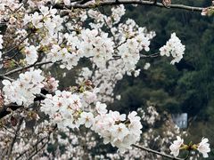 -高岚大峡谷旅游度假区