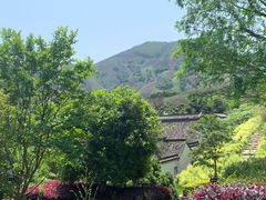 -帐篷客·溪龙茶谷度假酒店