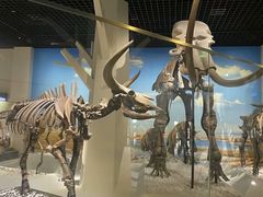 -国家自然博物馆