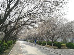-山东师范大学(千佛山校区)