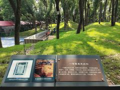 -马王堆汉墓遗址