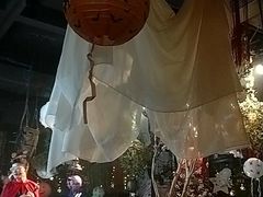 -胡桃里音乐酒馆(石家庄店)