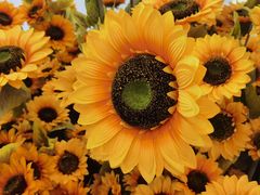 -小厨娘淮扬菜(清江苏宁广场店)