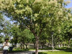 -石家庄市植物园