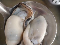 -濠轩阁特色生蚝火锅(水湾路店)