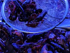-星海汇海鲜烤肉火锅自助(二七广场百年德化店)