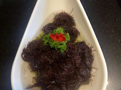 -一斗火锅·招财羊毛肚(北温泉九号店)
