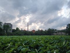 -雀儿山公园
