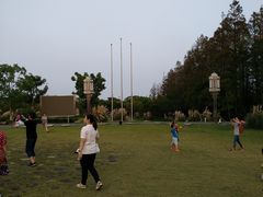 -上海长兴岛郊野公园