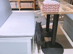 -小时光咖啡馆(开森度假森林店)