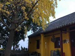 -云龙山