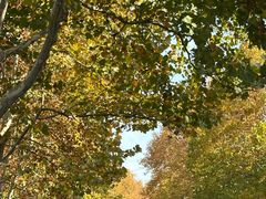 -镇南锅盖面馆(解放路店)