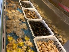 -盛宴自助餐厅(运达喜来登店)