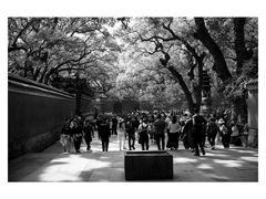 -普陀山风景名胜区-法雨禅寺