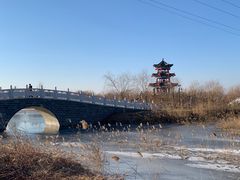 -千年枣林游览区