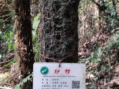 -赤水丹霞旅游区·佛光岩