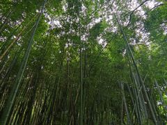 -苏州河梦清园环保主题公园