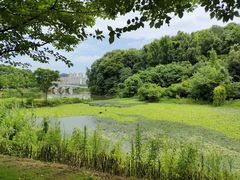 -团城山公园