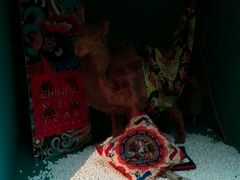 -西安大唐西市博物馆