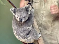 -费瑟代尔野生动物园