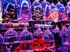 -华声天桥民俗文化园