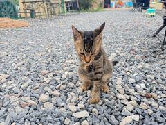-DGE季风钓虾营地·团建·聚会