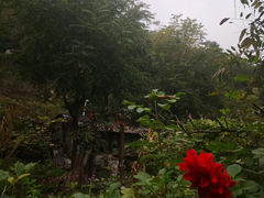 -水峪民俗村