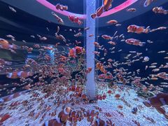 -海合安成都极地海洋公园