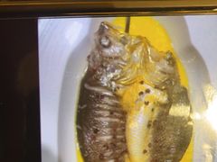 -上海小南国(国发店)