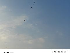 -成都市活水公园
