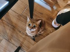 -湛江江记蚝莊烧烤工场(金海岸店)