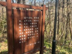 -句容茅山景区