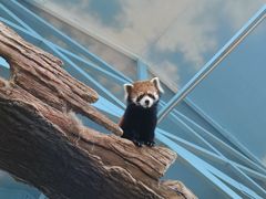 -石家庄市动物园