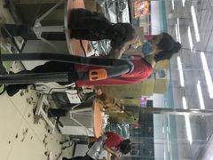 -乐宠宠物店(世纪金源店)