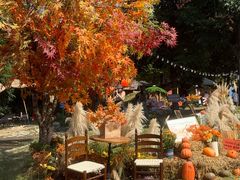 -HERRE·FARM 赫尔露营农场·团建聚会包场