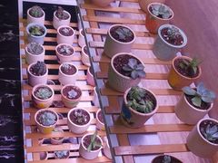 -富力希尔顿酒店·地阔自助餐厅