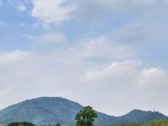 -风云岭森林公园