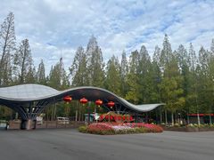 -东平国家森林公园